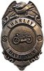 BDG-086 Harley Davidson